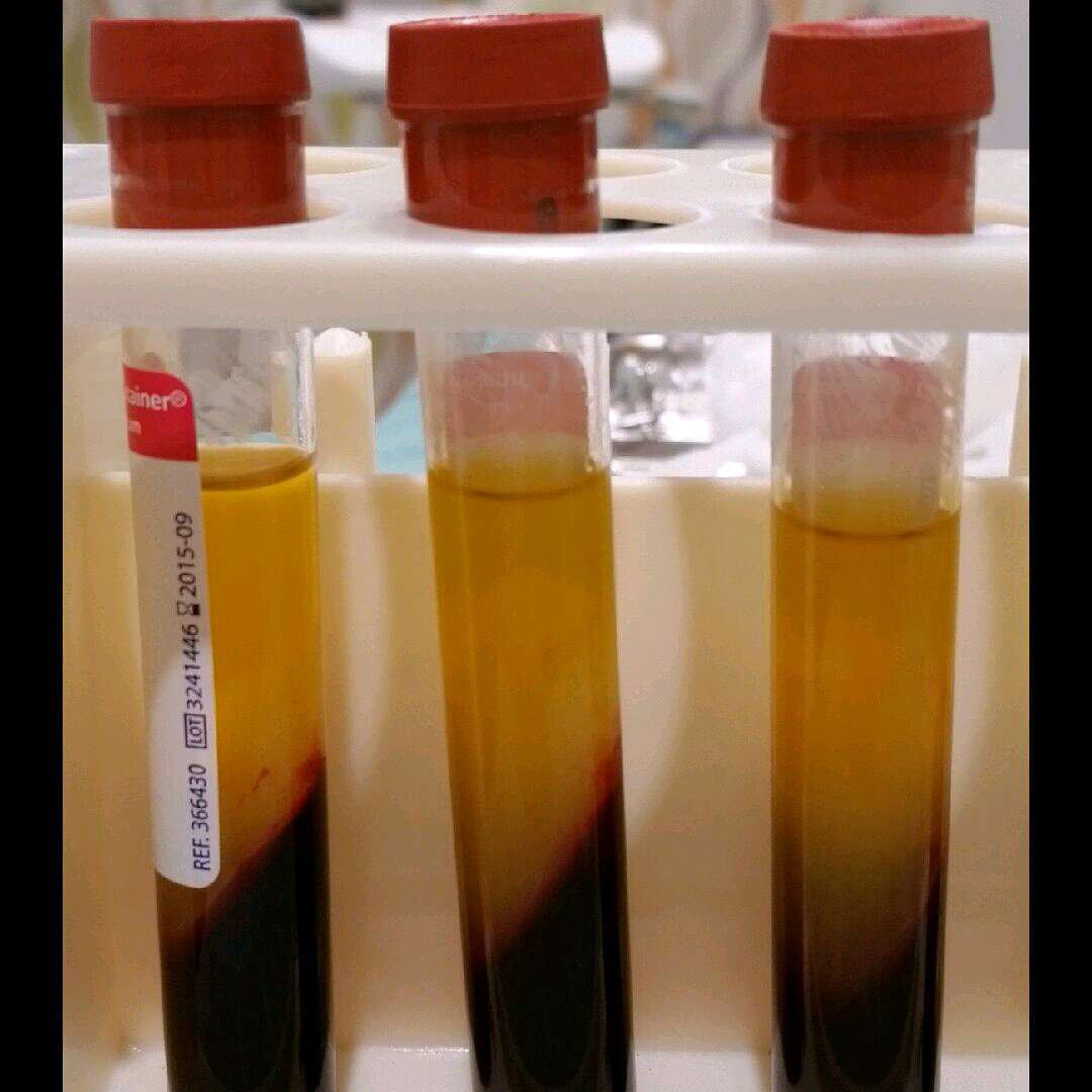 imgG53916132_1427387888738